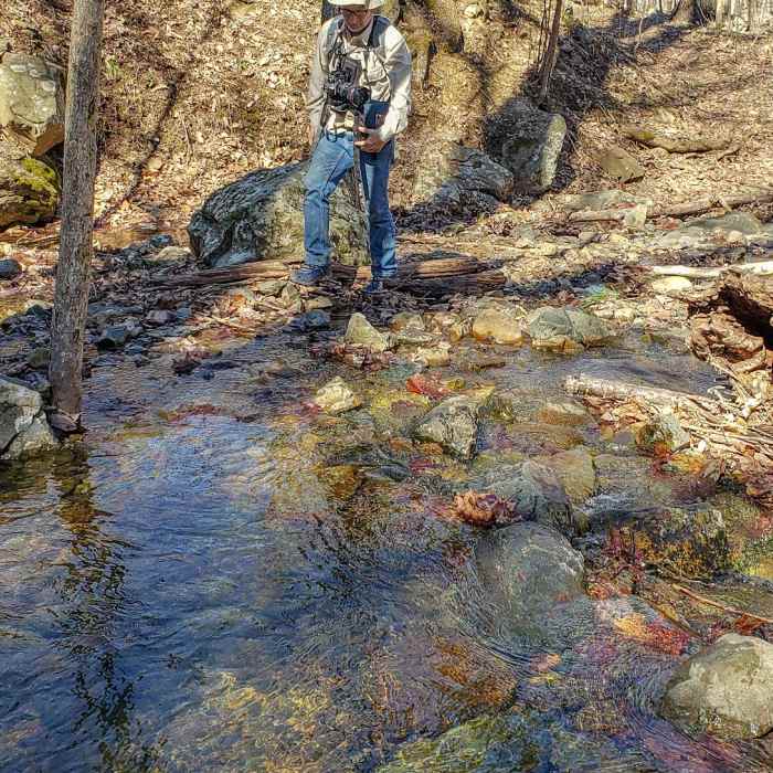 Near Overall Run Falls via Thompson Hollow Near Overall Run Falls via Thompson Hollow