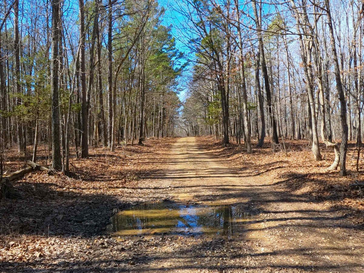 Coffman Hollow - FS 2907 photo 3