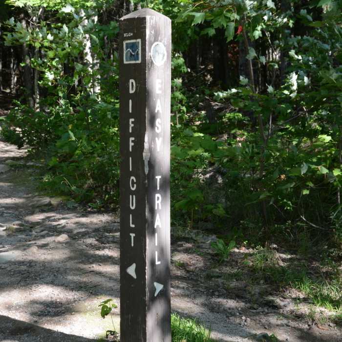 Left for the difficult route or right for the easy route. Both are walk-able. Near Sugarloaf Mountain