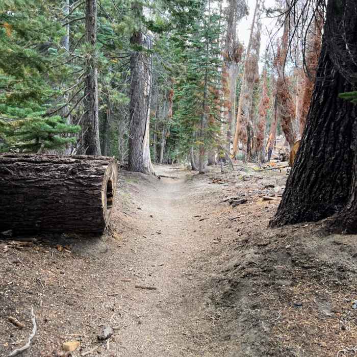 Near Devil's Postpile to Shadow Creek Trail