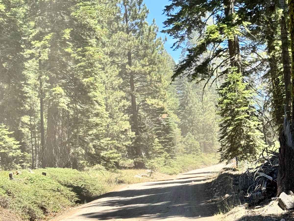 Herring Creek - FS 4N12 photo 3
