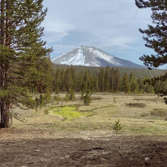 Mount Guyot, 12,300 ft., can be seen to the south from a clearing at a high spot along the PCT near Wallace Creek. Pretty high meadows turning spring green in early May. Near High Sierra Trail