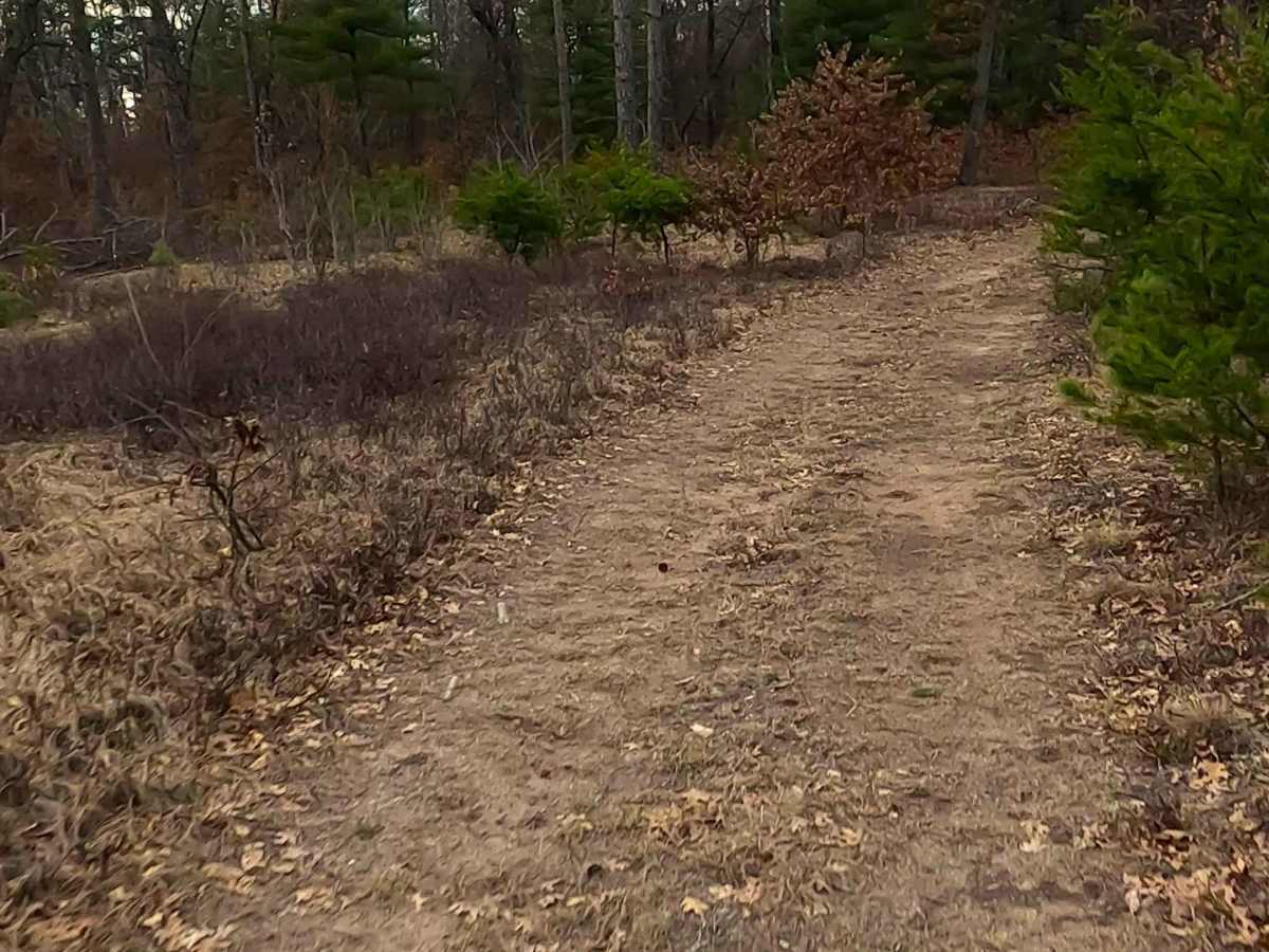 Wilcox Drive - FS 4093 photo 6