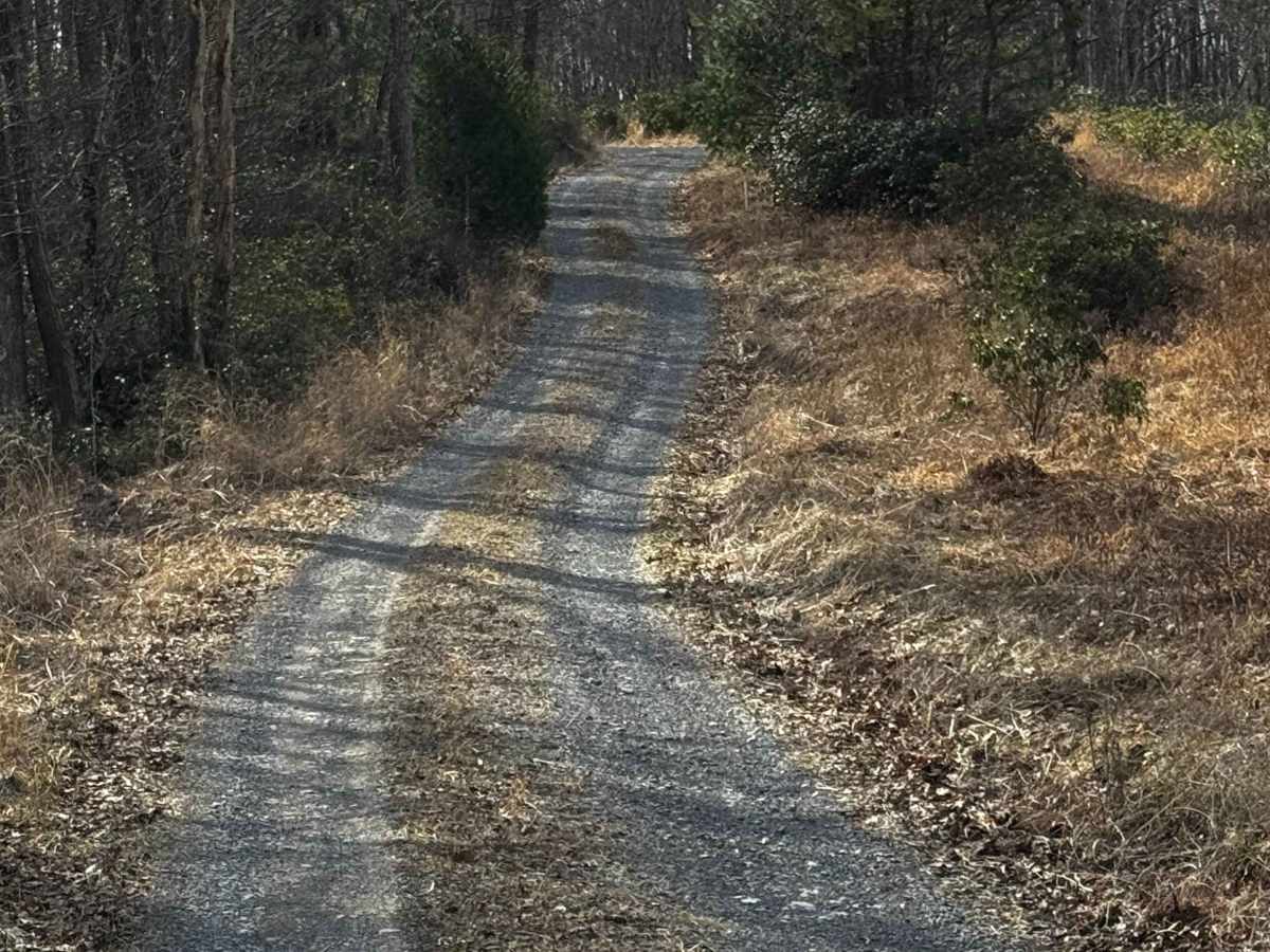 Crabapple Run Road photo 5
