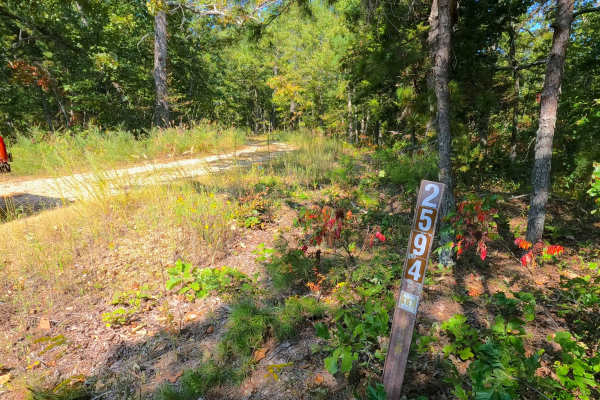 Beasley Hollow - FS 2594