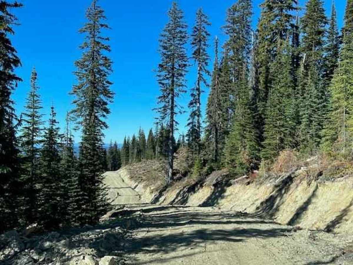 South Camp Road photo 5