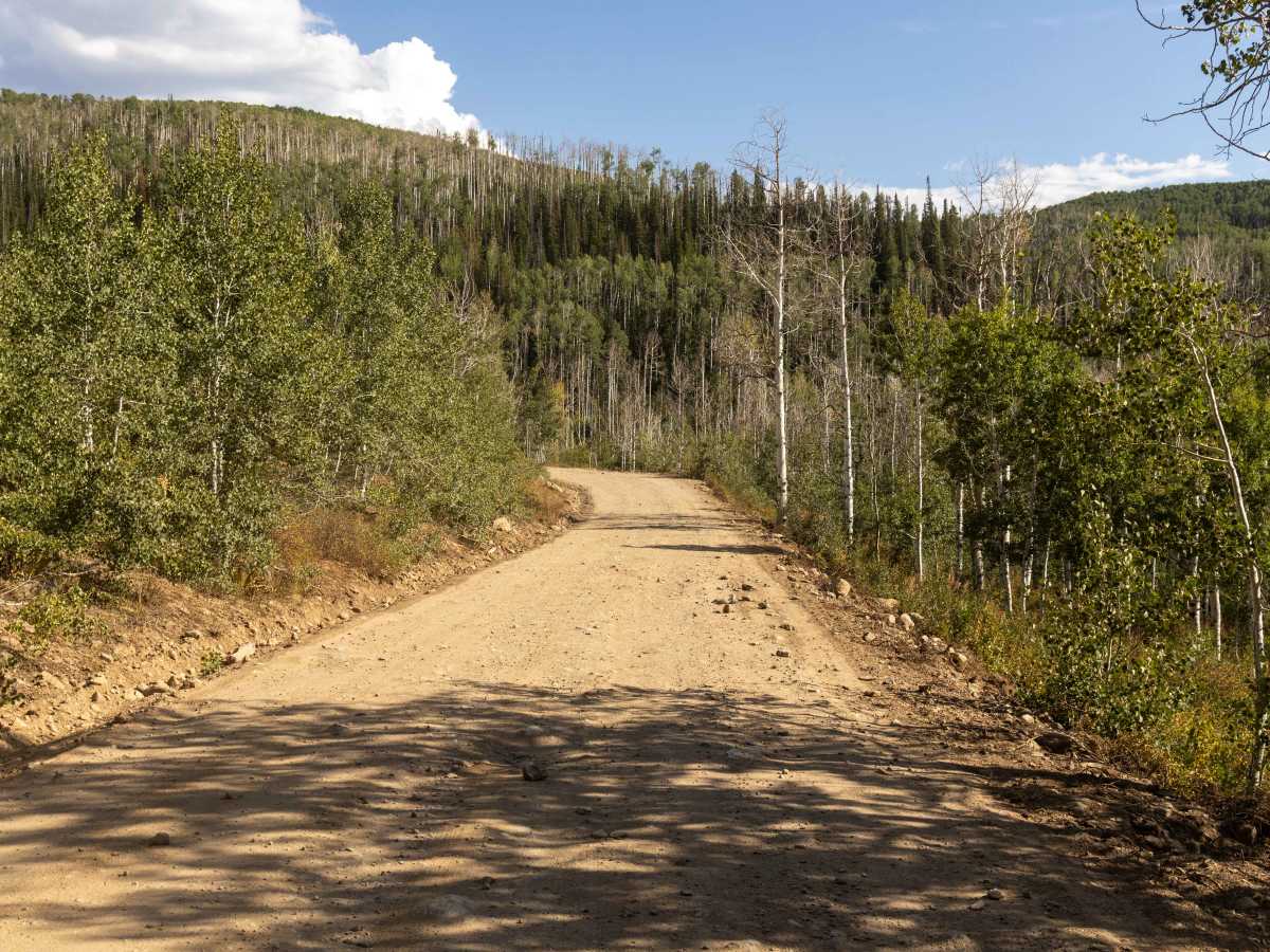 Buffalo Pass photo 3