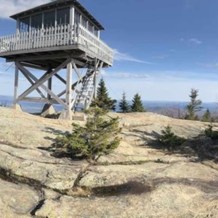Near Mount Kearsarge North Trail