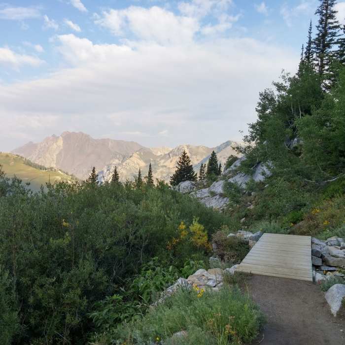 Near Catherine's Pass