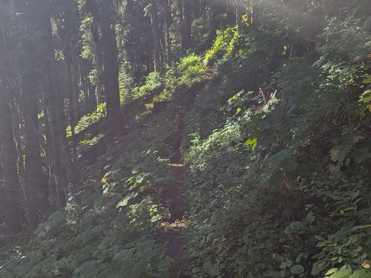 Ninemile Divide Trail photo 2