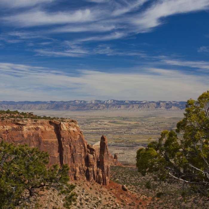 Near Otto's Trail