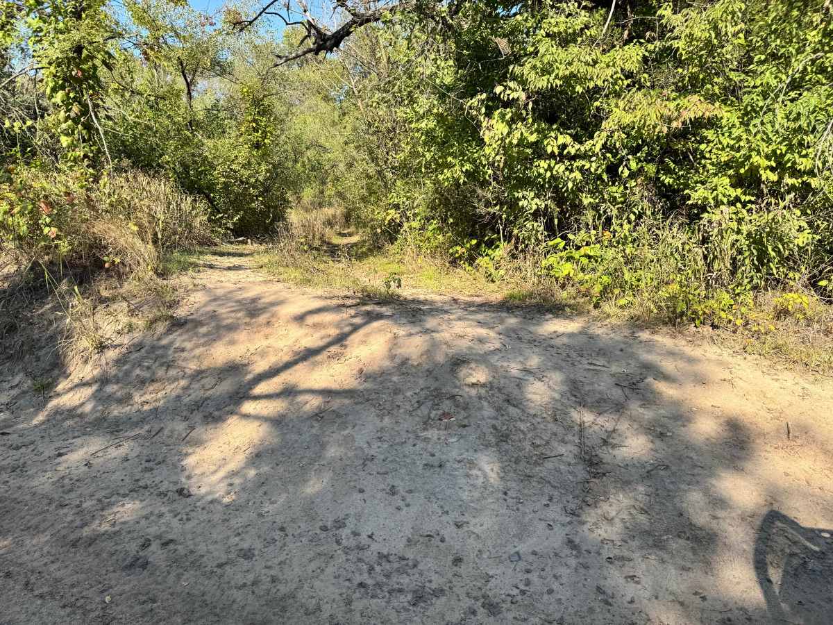 Differential Divide trail photo