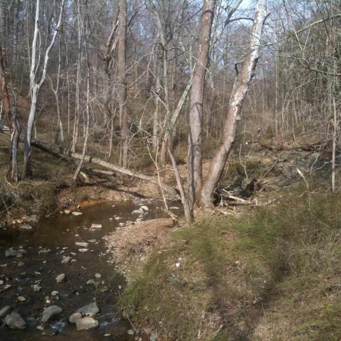 Near New Castle County Loop