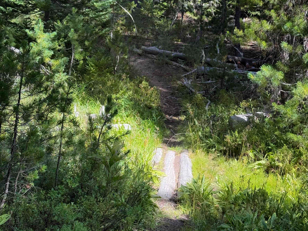 June Lake Trail  photo 6