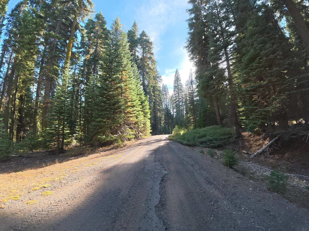 Big Rattlesnake Creek photo 4