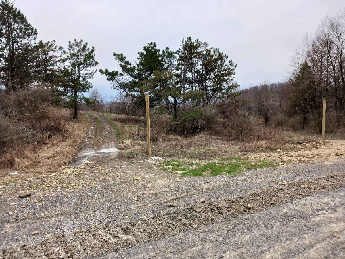 Trail 4X - Rock Run Recreation Area trail photo