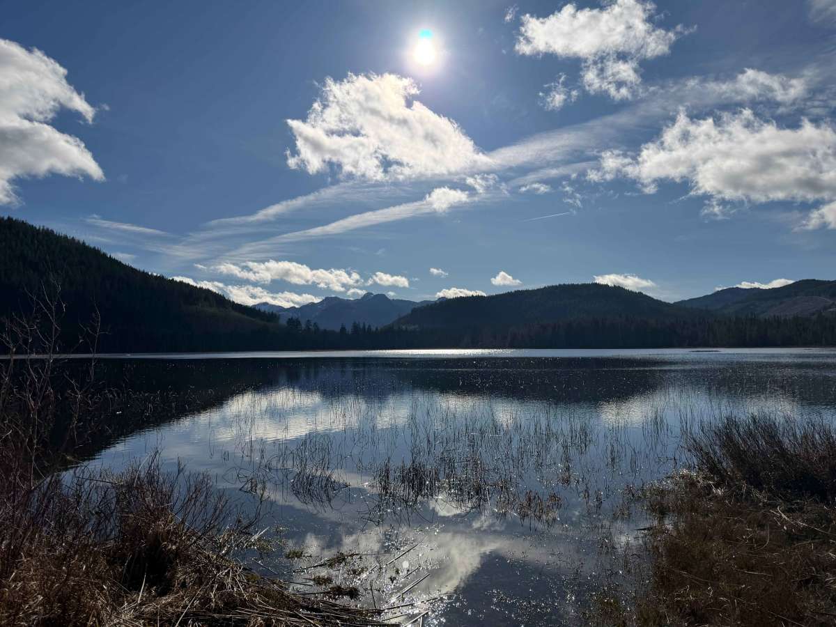 Healy lake trail photo