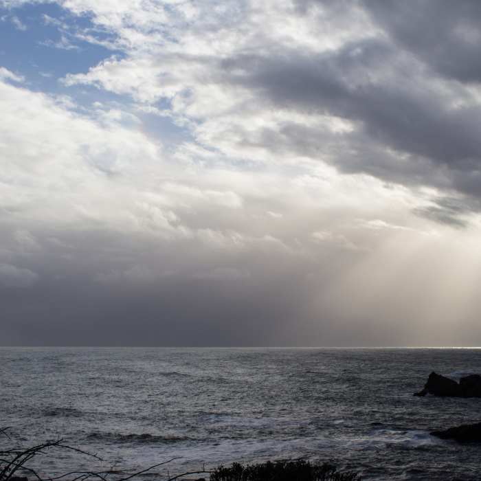 Near Yurok Loop Trail