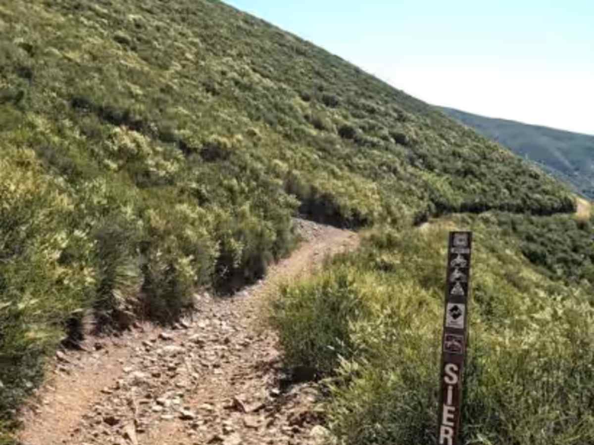 Sierra OHV Trail trail photo