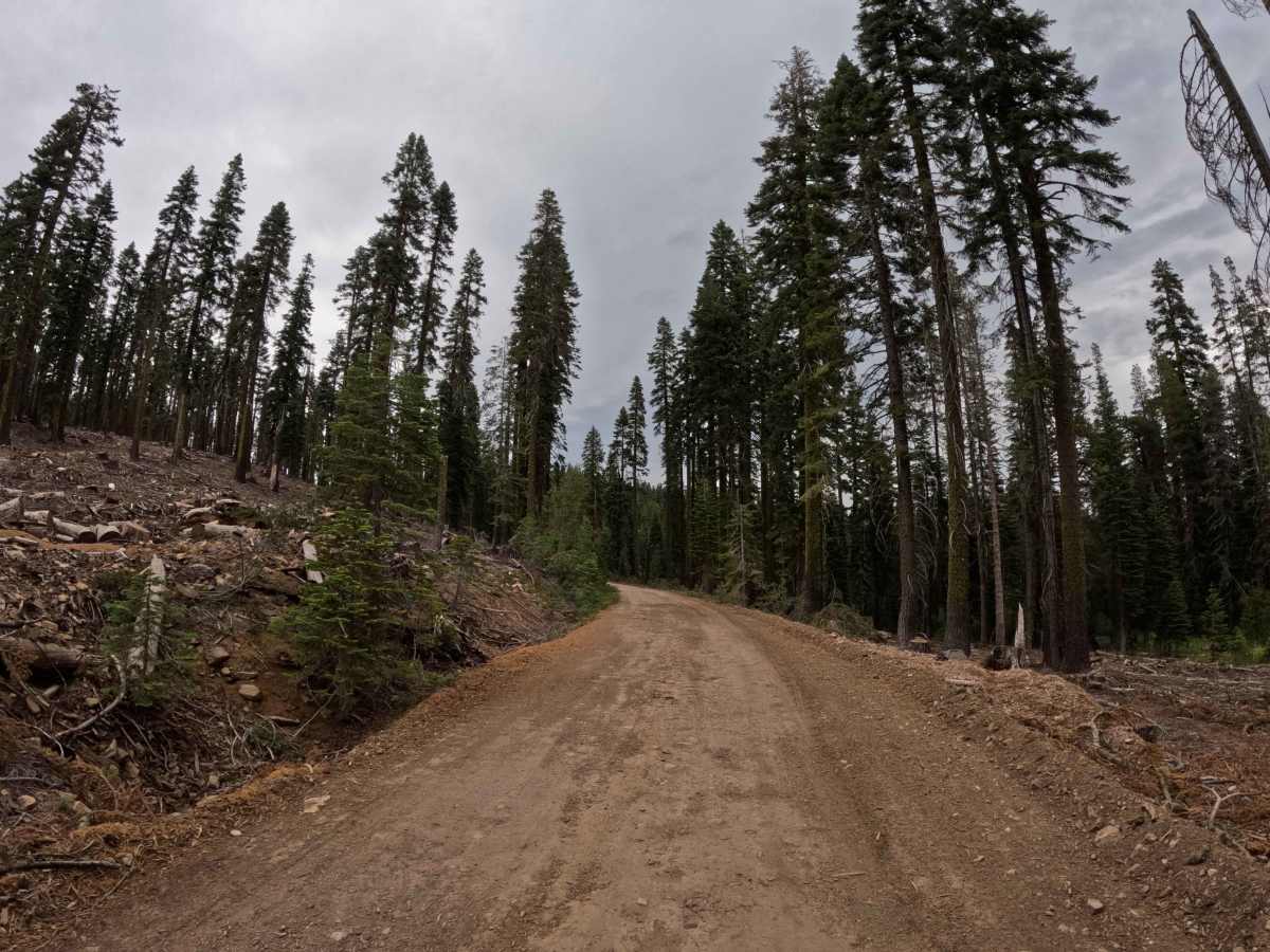 Mohawk Chapman Road - FS 22N98 photo 3