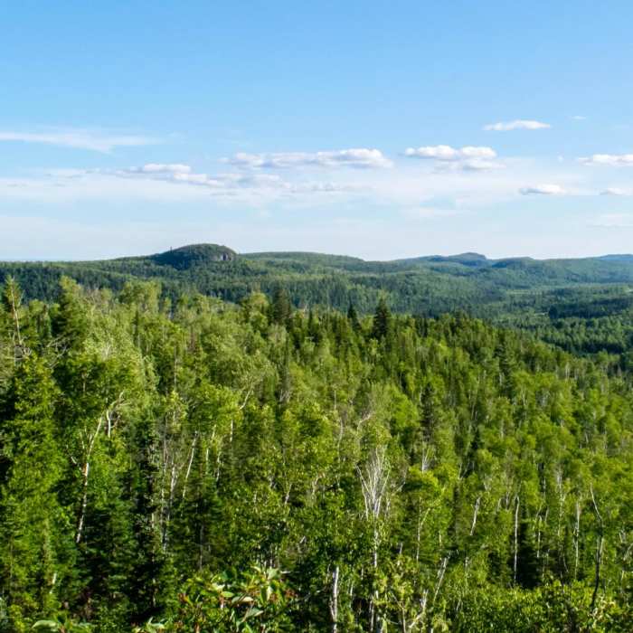 Near Superior Hiking Trail: Section 13 Near Superior Hiking Trail: Section 13