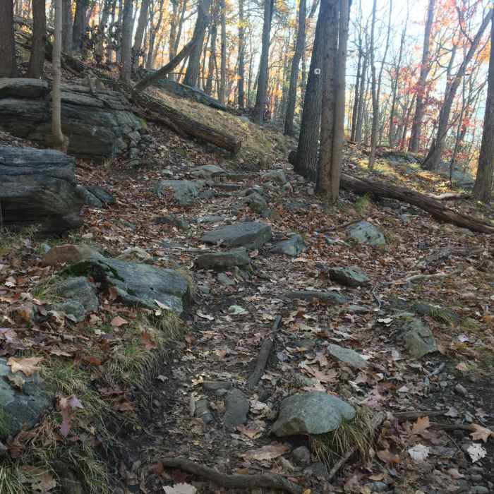 Near Black Ash Mountain Loop