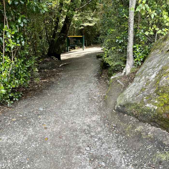 Near Bob's Cove to Picnic Point Track