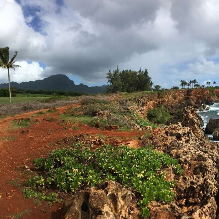 Maha’ulepu Heritage Trail Near Maha'ulepu Heritage Trail
