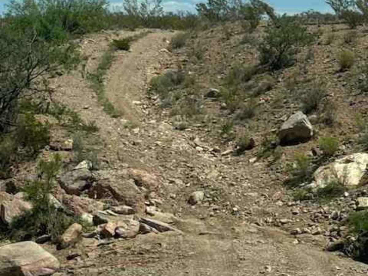BLM SS1043 photo 6