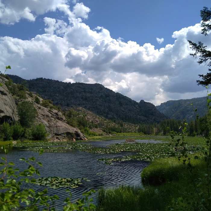 Near Boulder Canyon Trail #7113