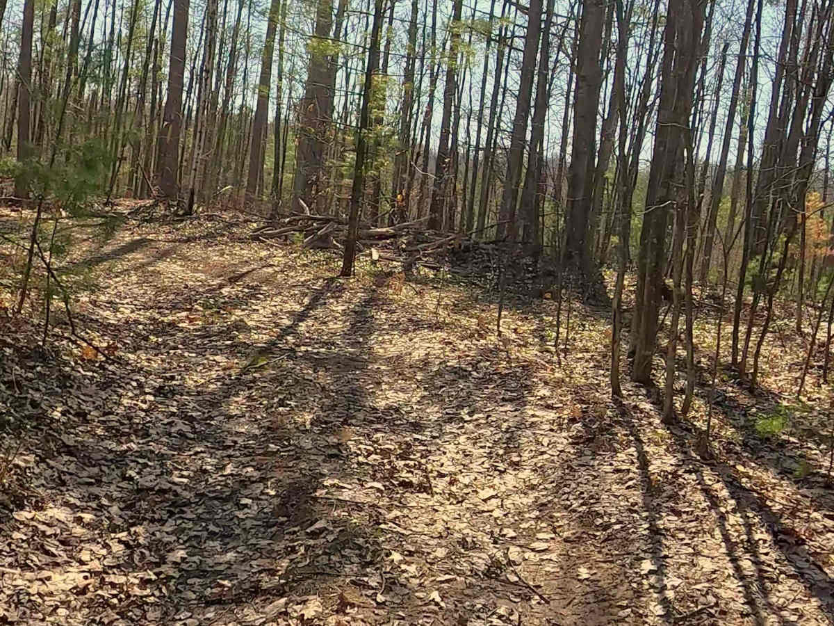 Bass Lake - FS 4227 photo 4