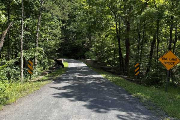 Quarry Road 