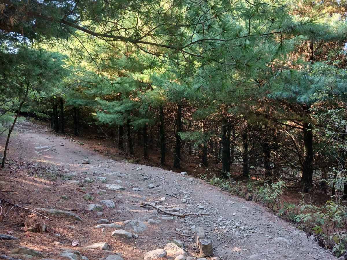Inner Loop - West - Rock Run Recreation Area photo 5