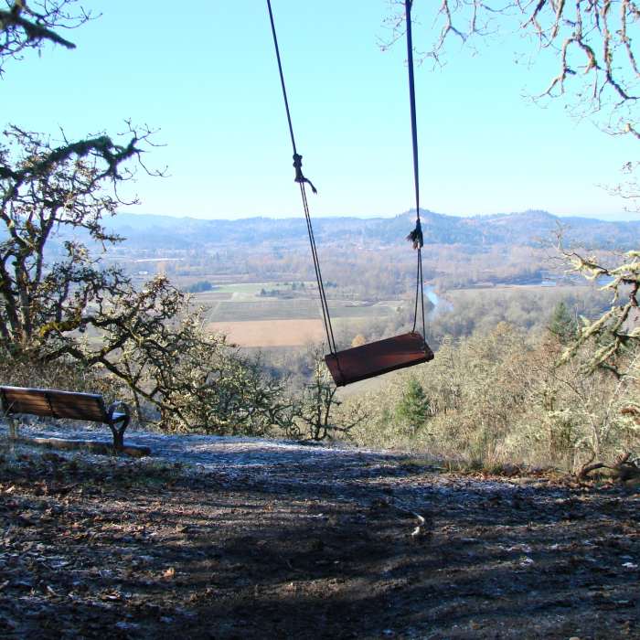 The view and swing from Swing Hill Near Swing Hill