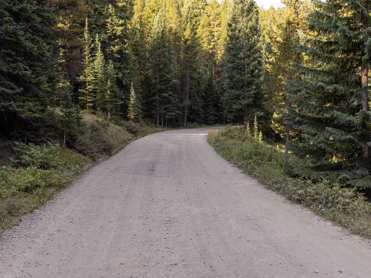 Boreas Pass trail photo