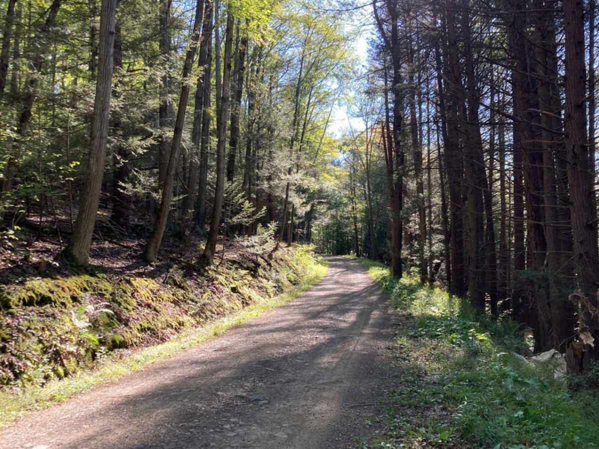 Green Hill Road photo 4