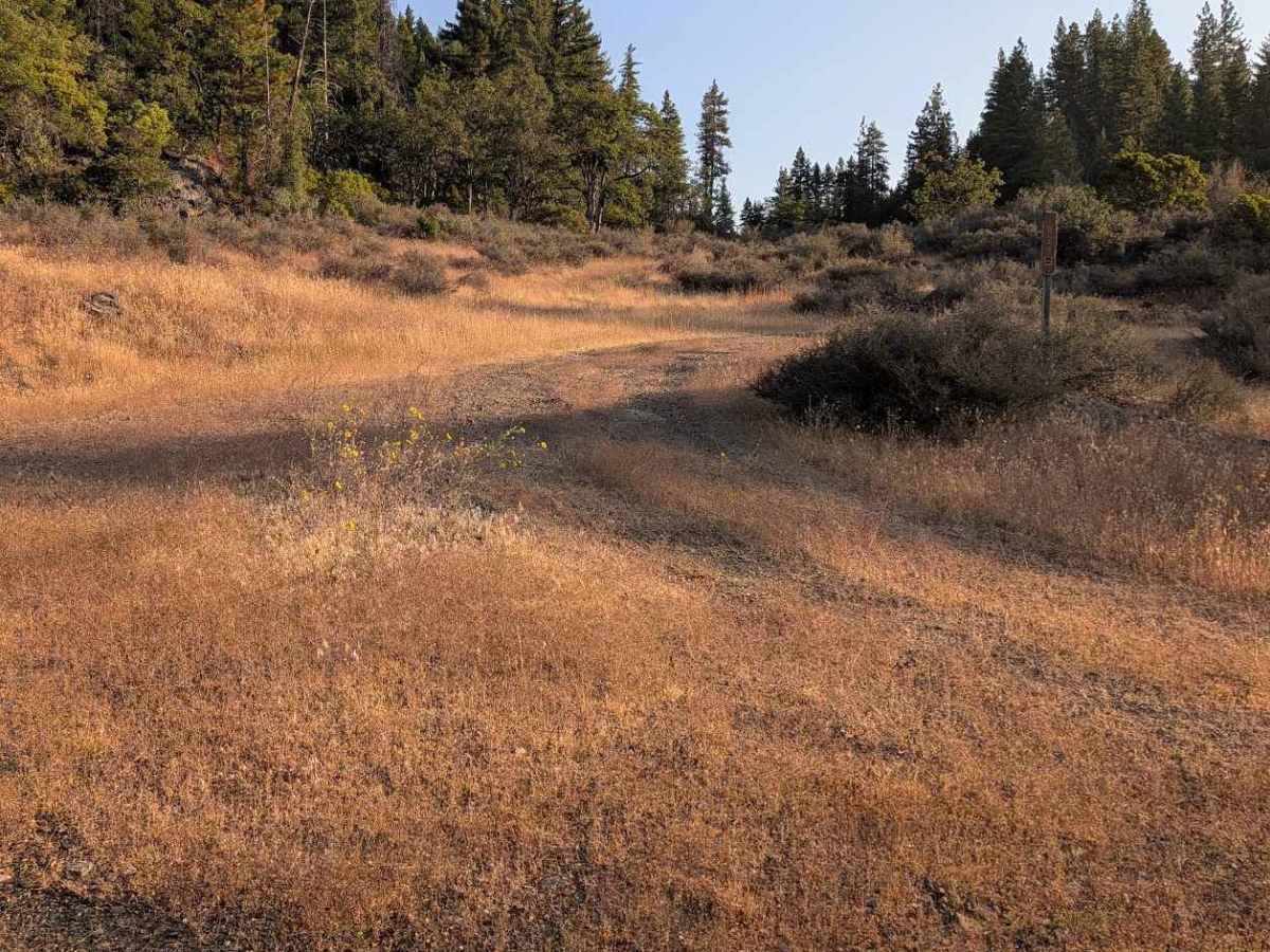 Post Road - FS 1N29 trail photo