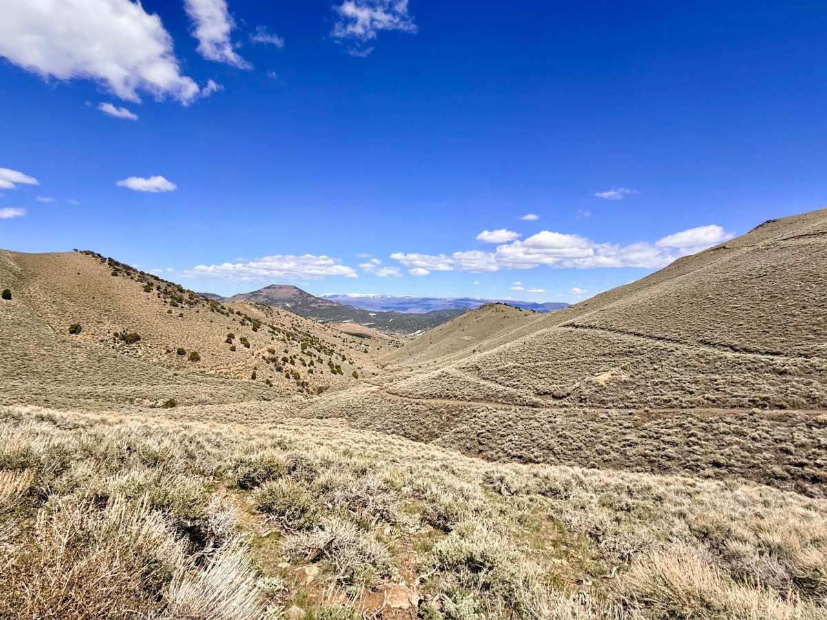 Antone Silver Creek - FS 44440 trail photo