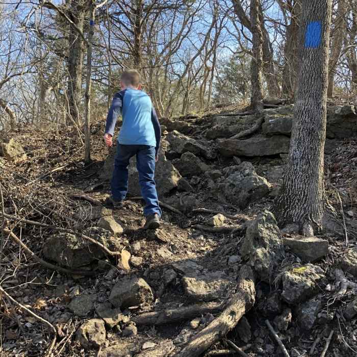 There's a lot of short, rocky, 8' climbs in just the first mile of trail. Be sure to wear proper hiking boots. Near Elk River Trail