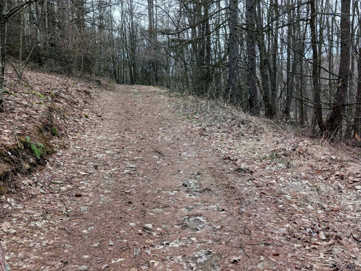 Trail 15C - Rock Run Recreation Area photo 3