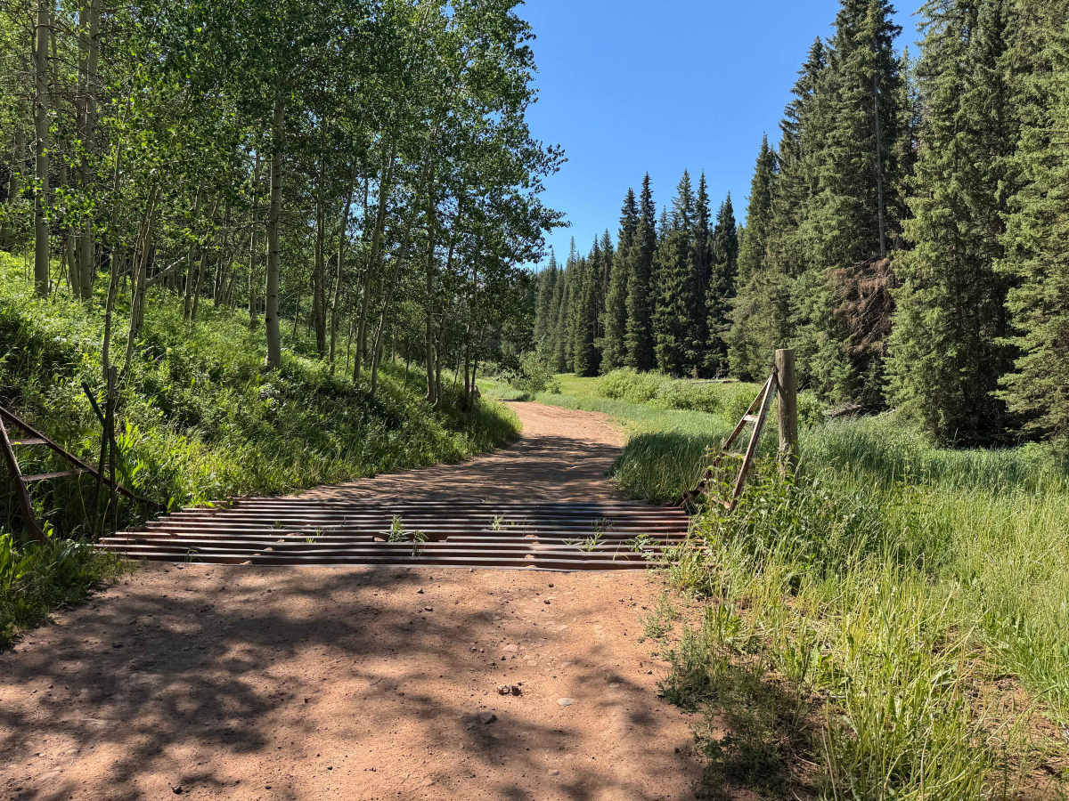 Upper Gypsum Creek Road - FS 101 trail photo