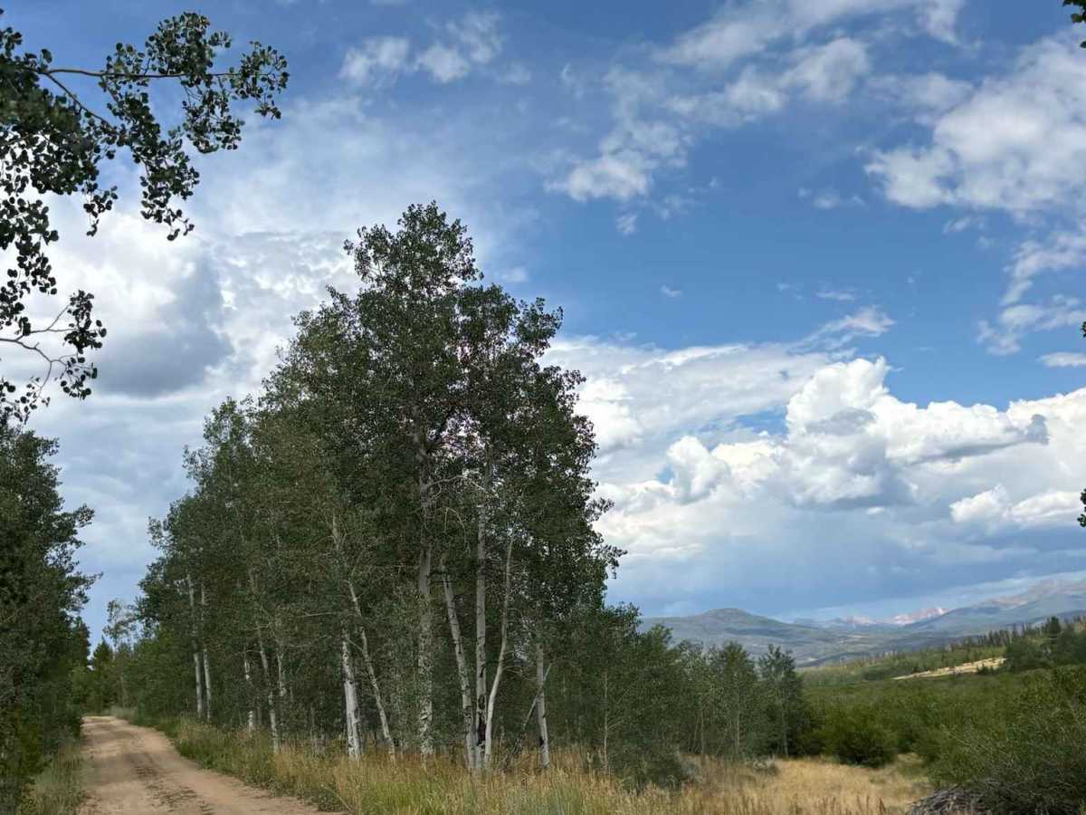 Sloan Drive Road trail photo