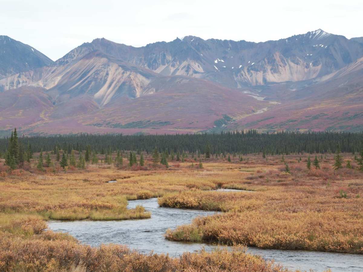 Denali Highway photo 3