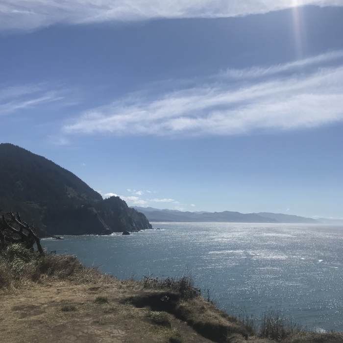 Near Cape Falcon Trail