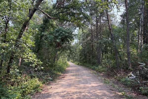 North Two Inlets Forest Road