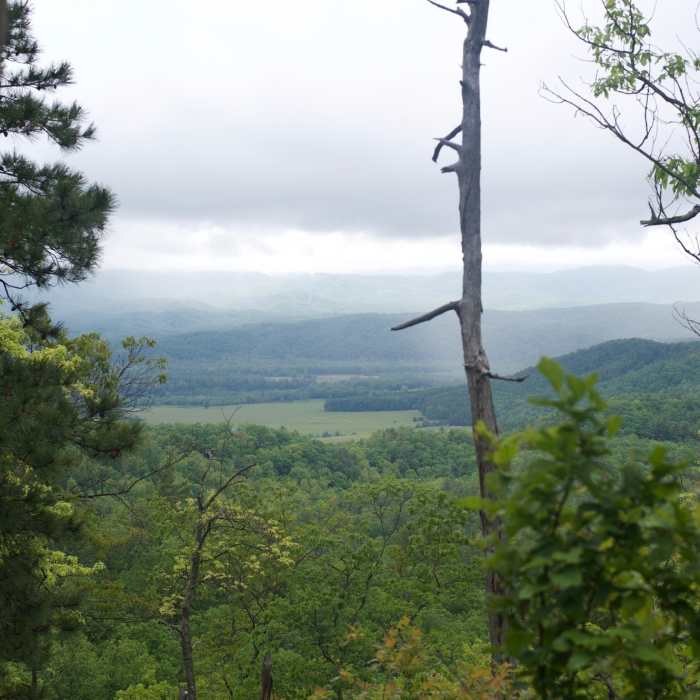 Near Indian Grave Gap Trail