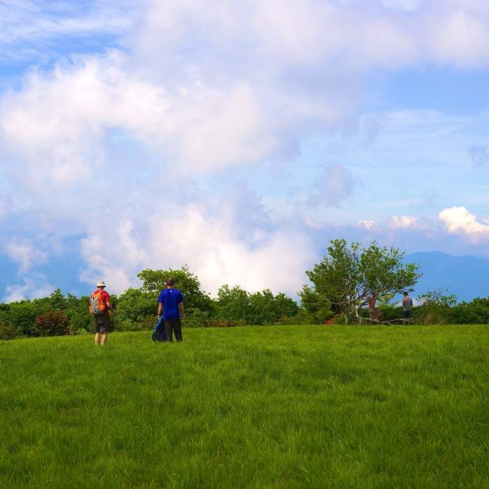 Perfect day hike to Gregory's Bald to see the azaleas. Great Smoky Mountains N.P. Near Gregory Bald Out and Back