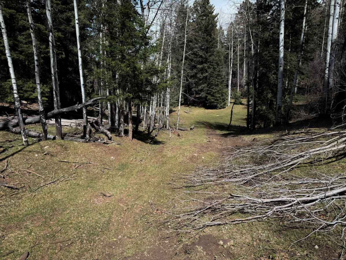 Zinker Canyon Trail  photo 6