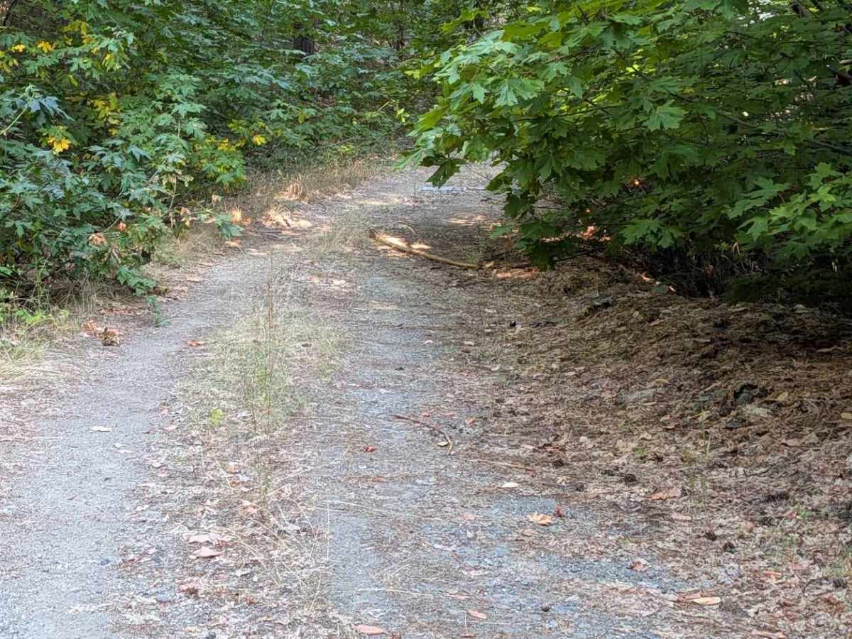 Creek Road - FS 29N57 trail photo