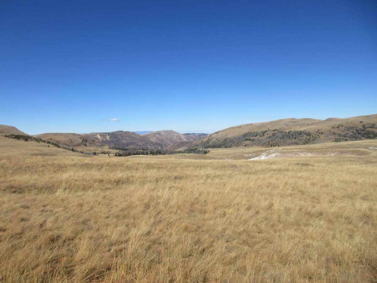 Gravelly Range Road (FS290) (Partial) photo 4